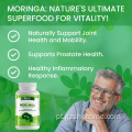 Moringa oleifera completa glúten sem cápsulas de folha de moringa